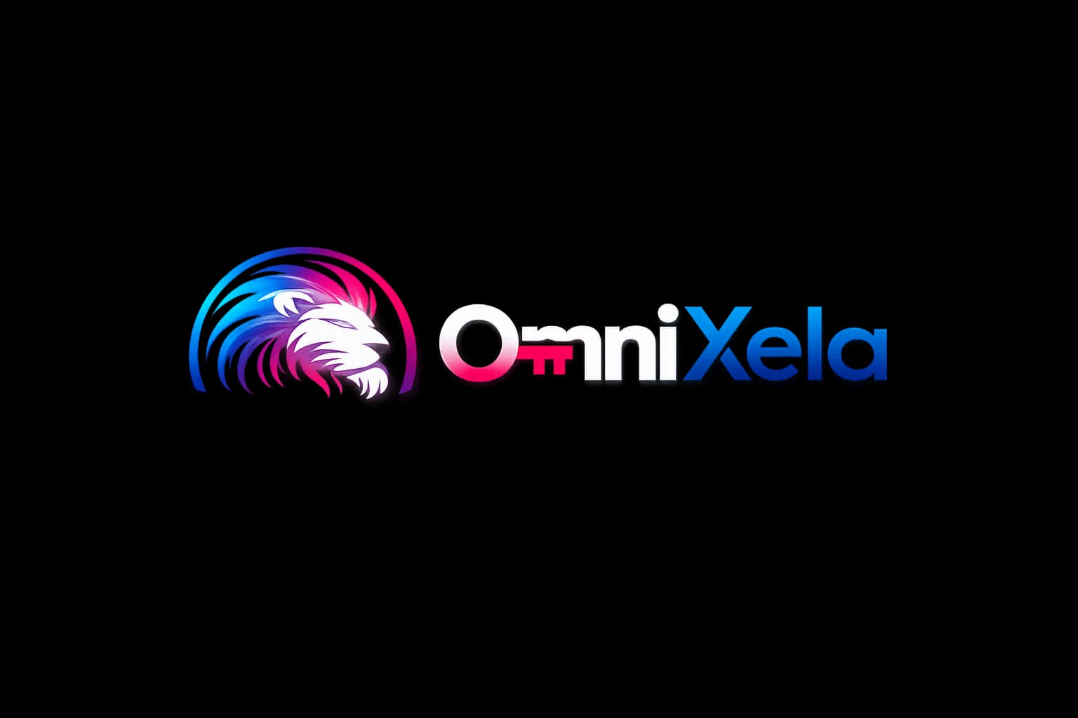 OmniXela logo